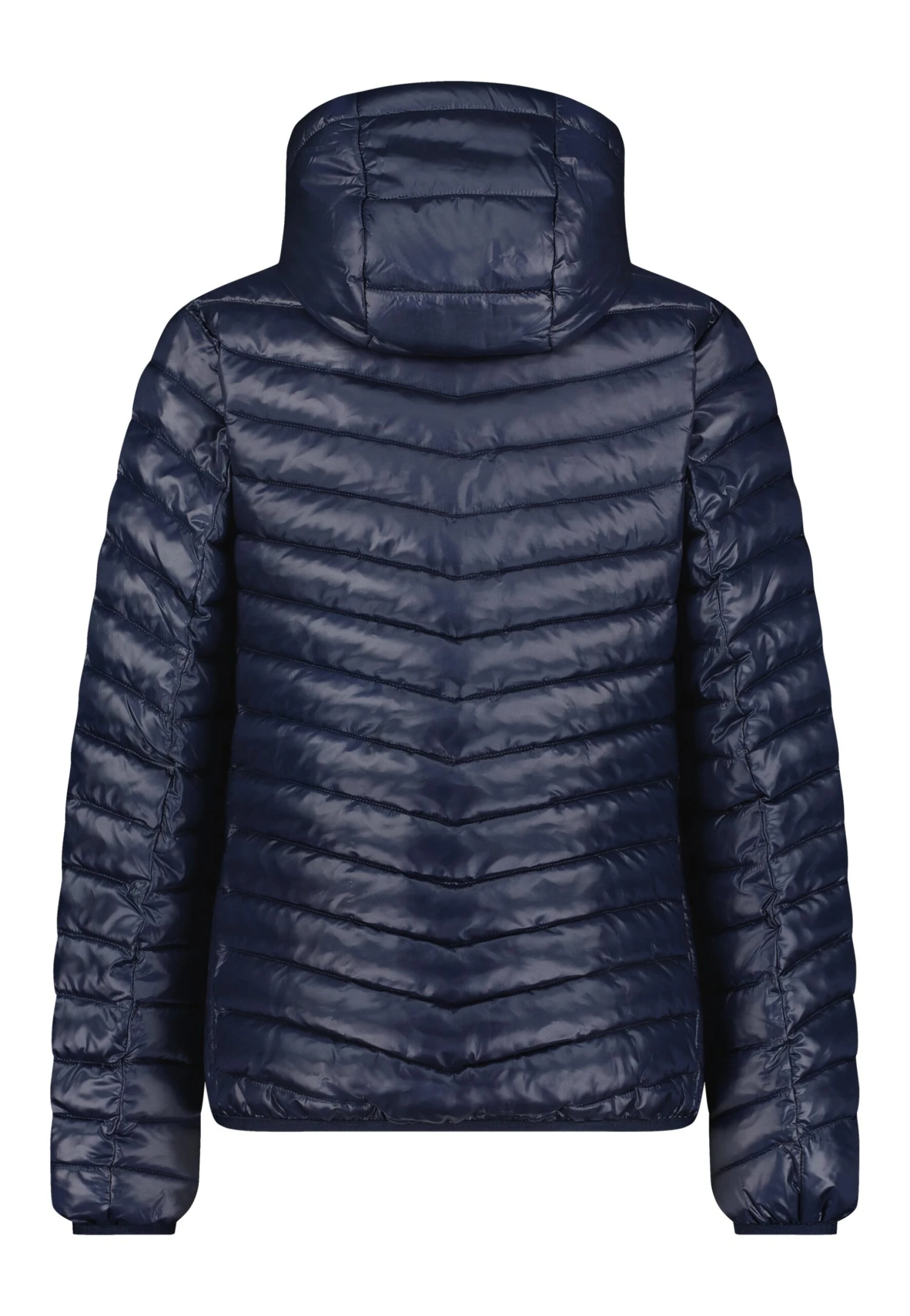 GAASTRA Summer Nautique- Winterjas - Navy 2 GAASTRA Summer Nautique- Winterjas - Navy - Afbeelding 2