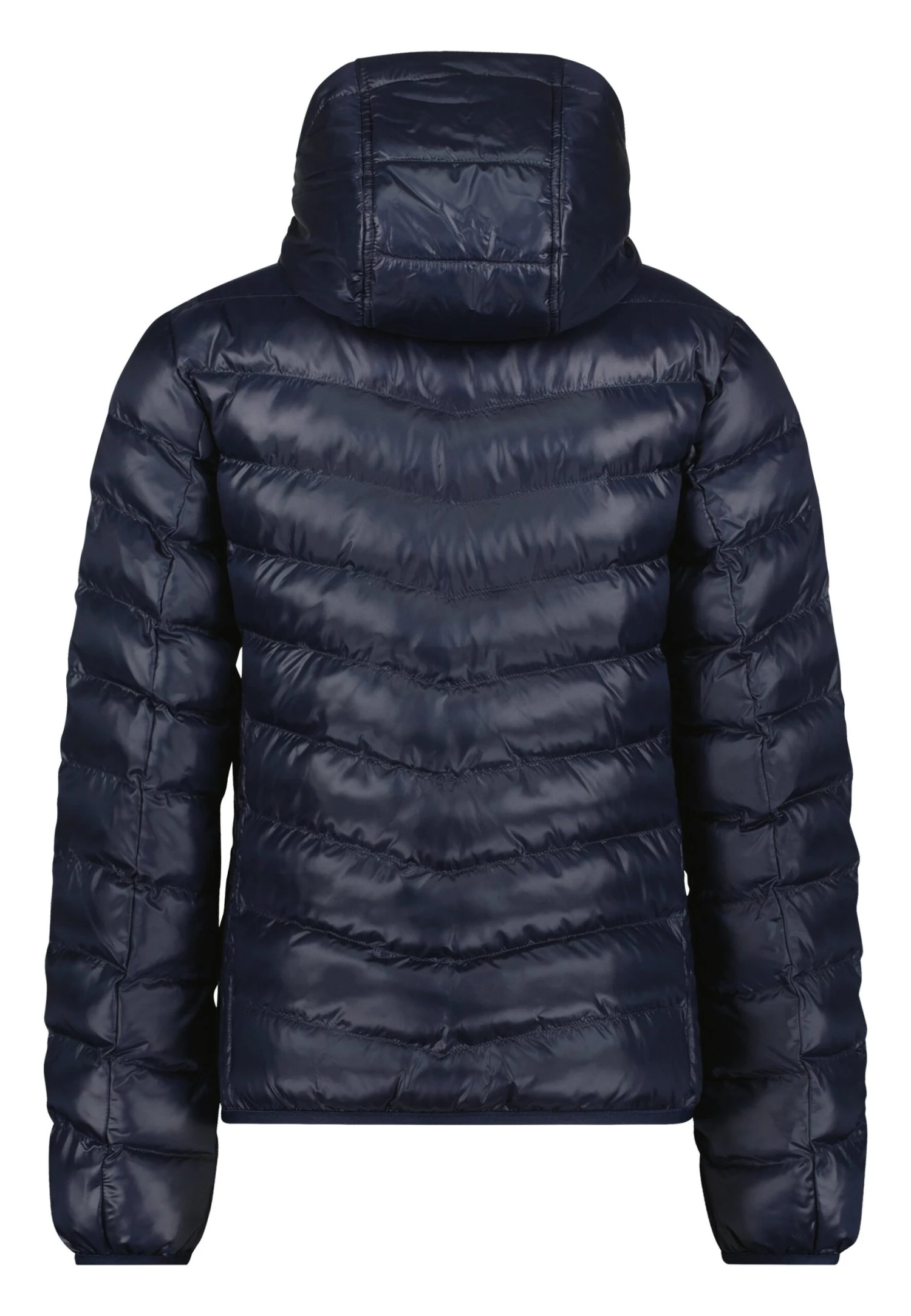 GAASTRA Nautique Short- Winterjas - Blue 2 GAASTRA Nautique Short- Winterjas - Blue - Afbeelding 2